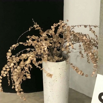 Furry绘画动态表现福瑞群